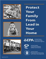 Lead Paint Pamphlet - Free EPA Disclosure