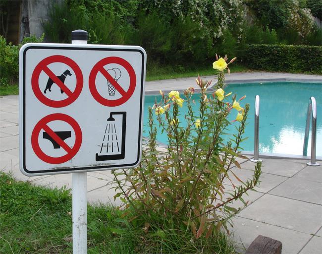 Pool Safety: Stay Informed and Protect Your Investment