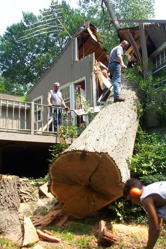 when to trim back rose of sharon bush, Acworth GA