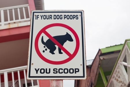 Landlords Crack Down on Dog Waste