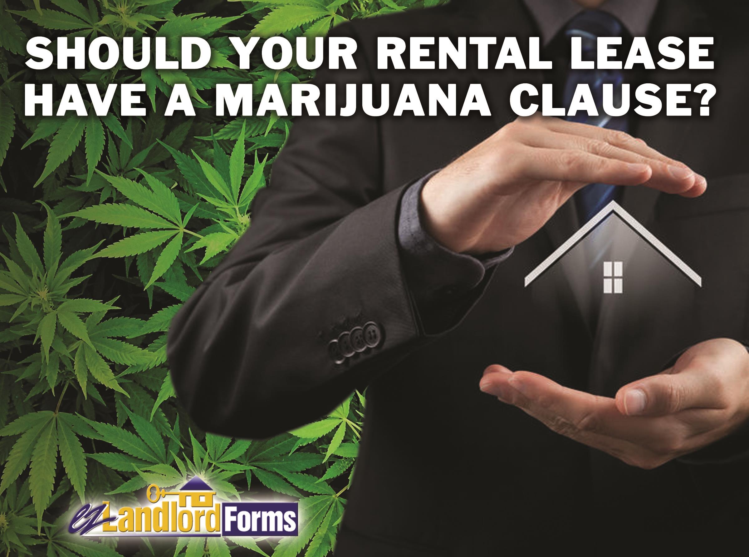 Should_Your_Rental_Lease_Have_a_Marijuana_Clause_V4