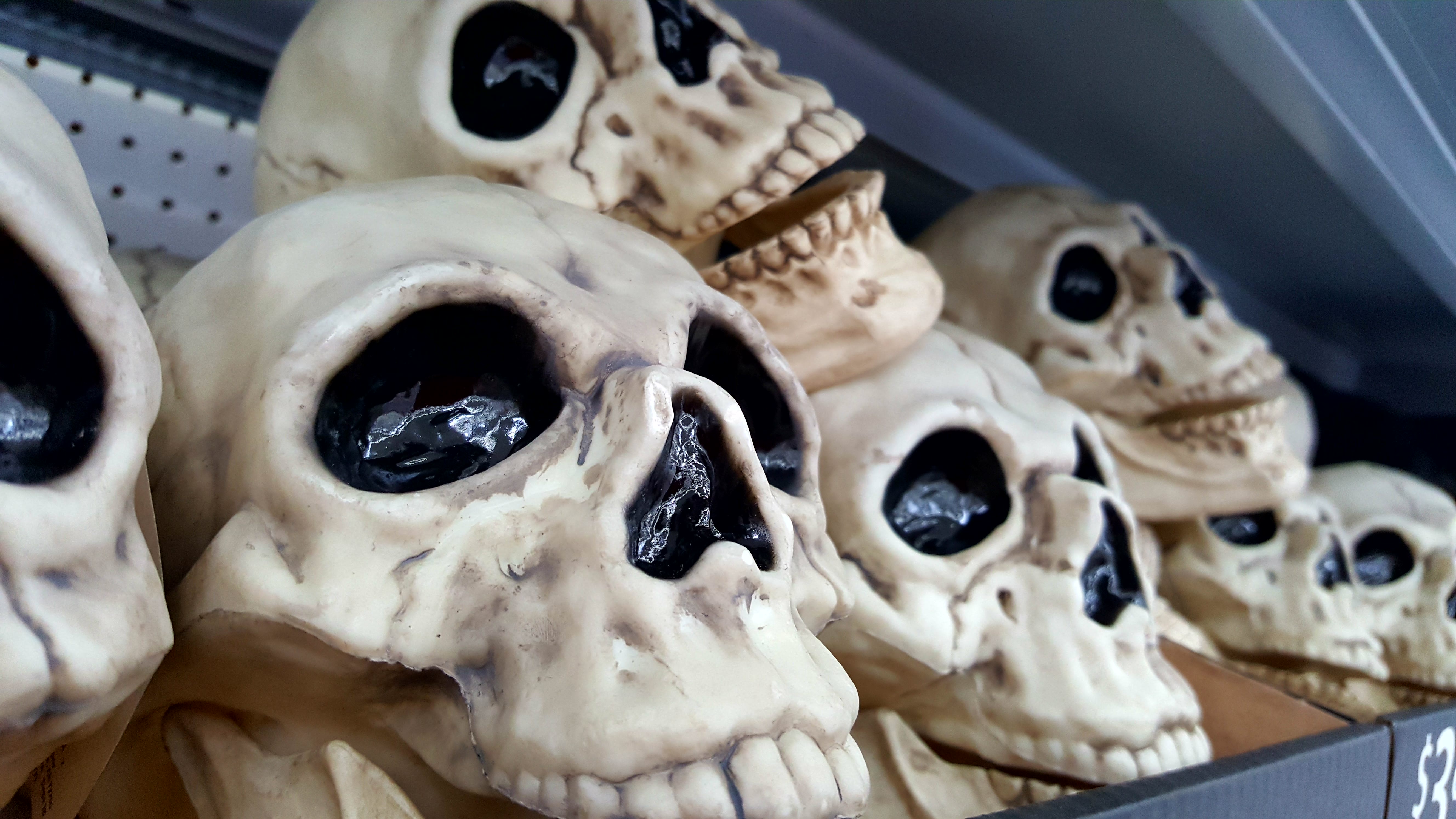 Skulls for Halloween decor
