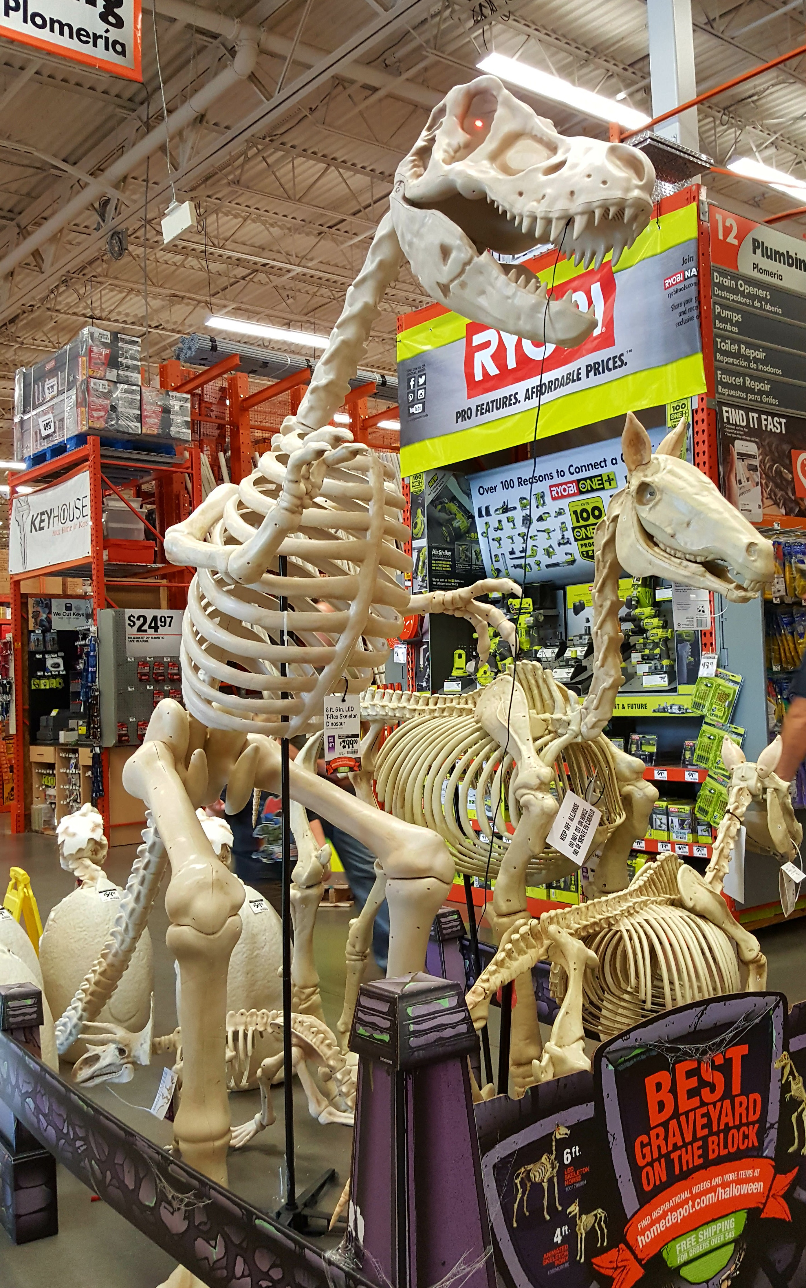 Halloween decorations fill the isles of the stores. 